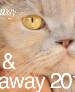 Winners - Holiday Gift Guide 2014