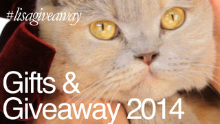Winners - Holiday Gift Guide 2014