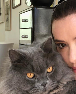 Chats, Cats & Make up for Staying In!