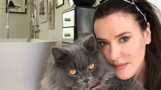 Chats, Cats & Make up for Staying In! Chats, Cats & Make up for Staying In!