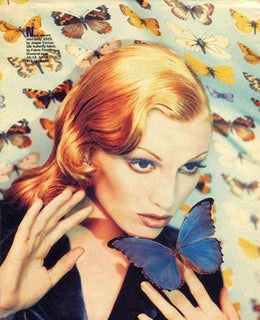 Observer - Zanna Observer - Zanna